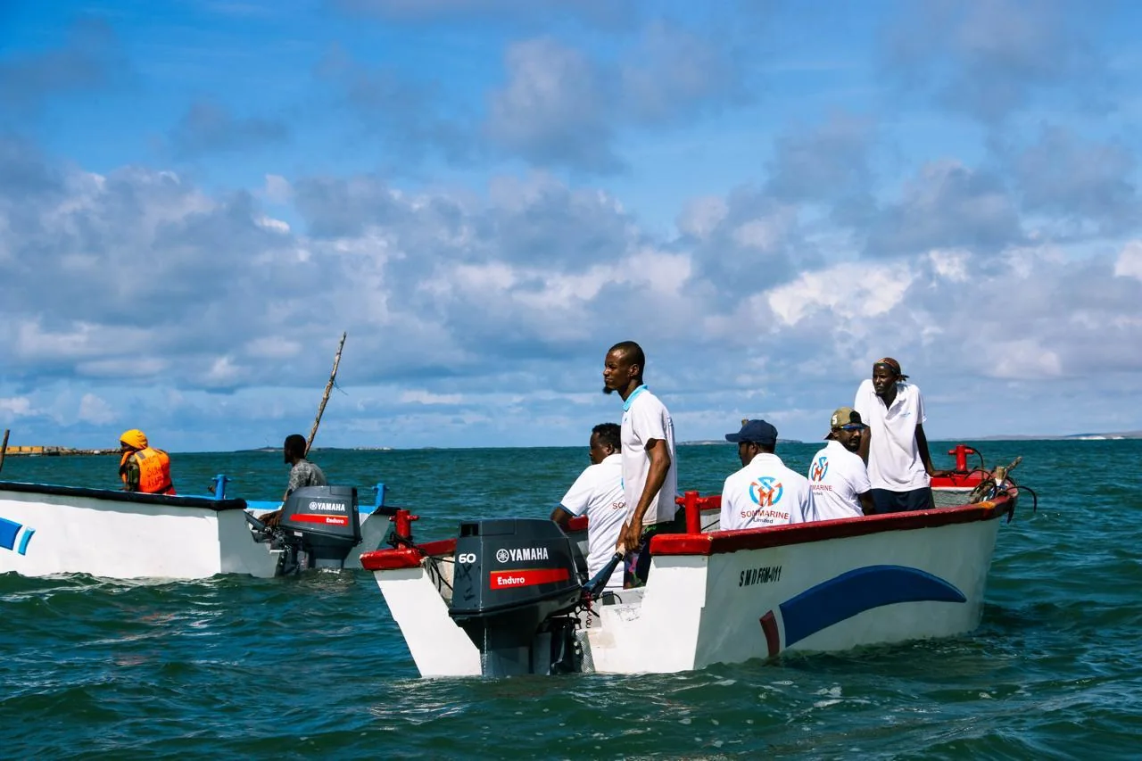 Sommarine crews operating branded vessels offshore